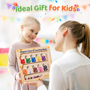 Magnetic Color and Number Maze - JoyCat