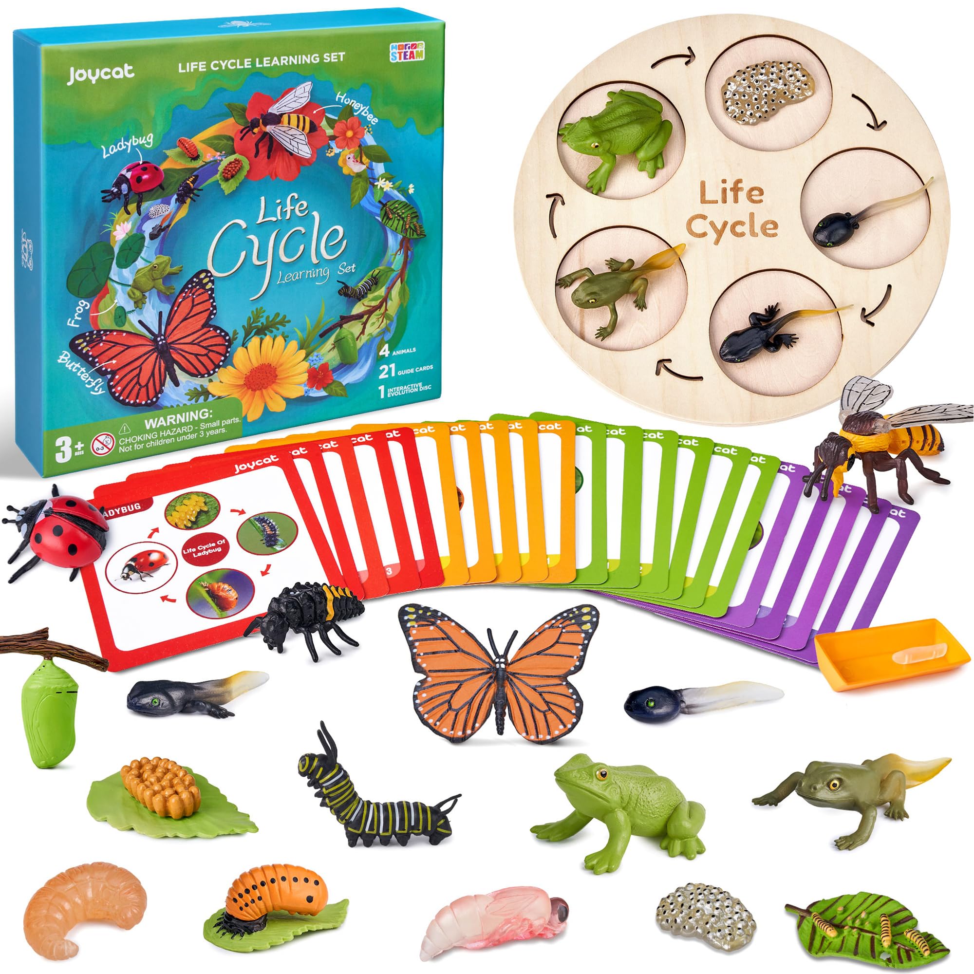 Montessori Life Cycle Learning Education Toy - JoyCat