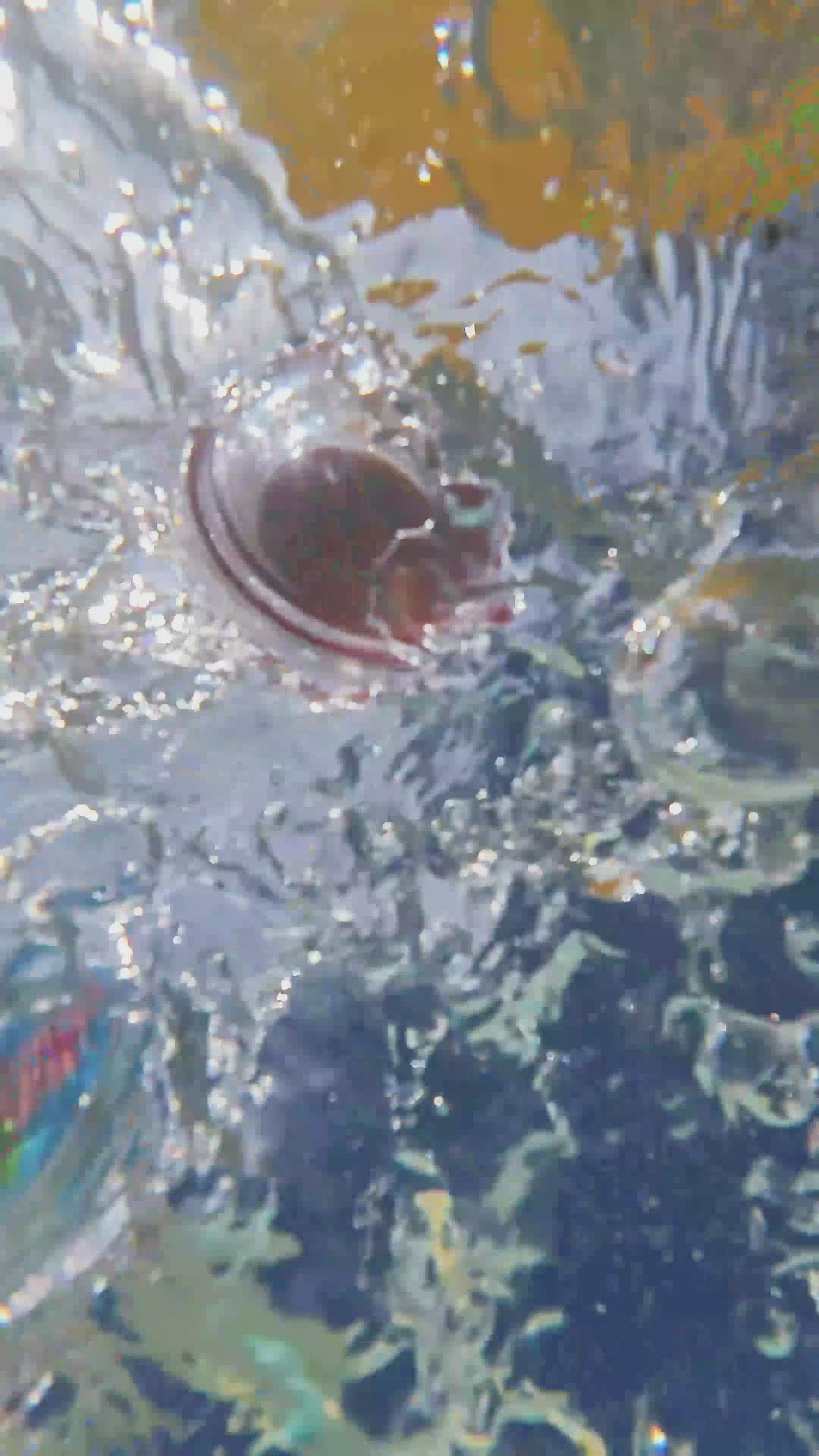 26pcs Letters Alphabet Learning Bath Toys Video - JoyCat