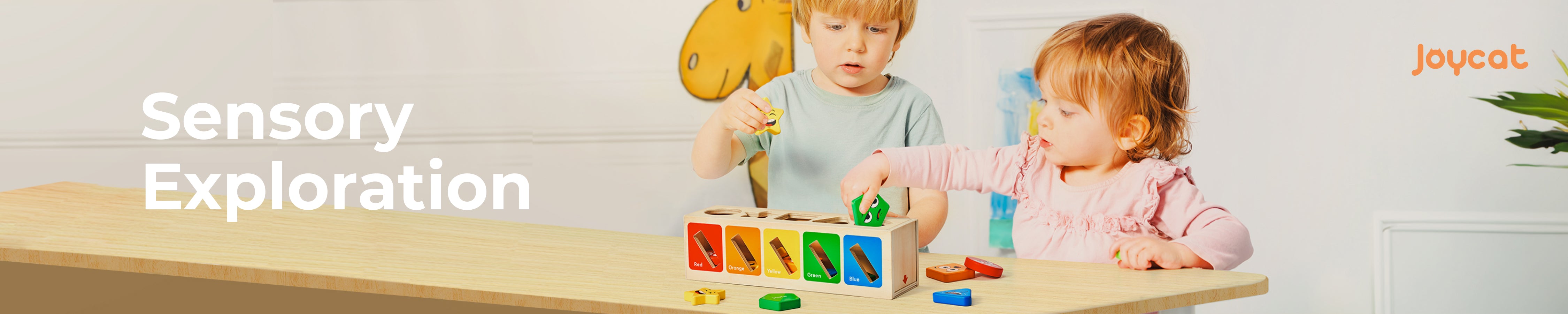 Sensory Exploration