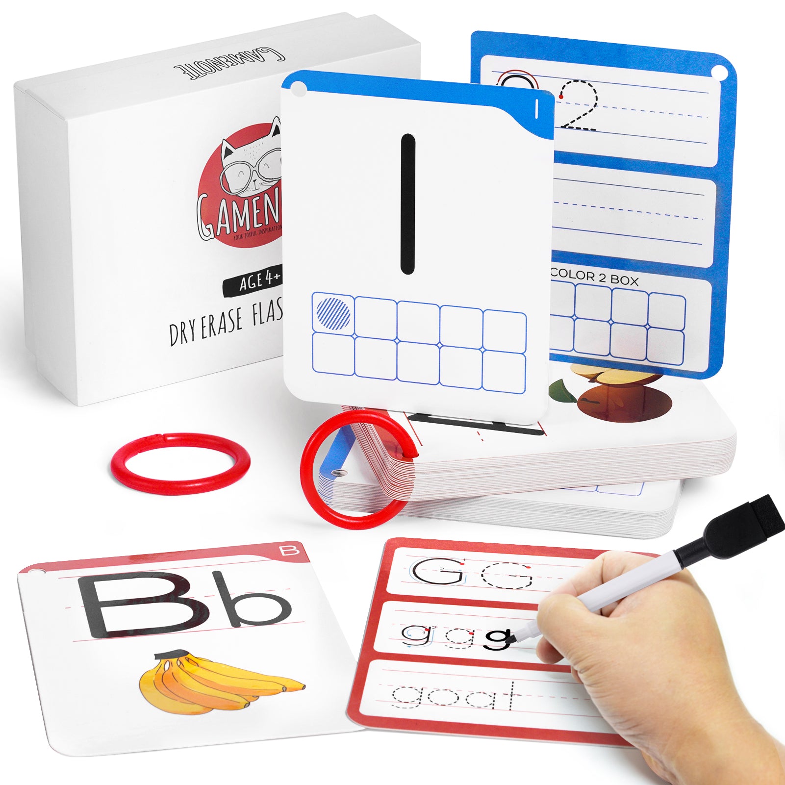 Dry Erase Alphabet and Number Flash Cards