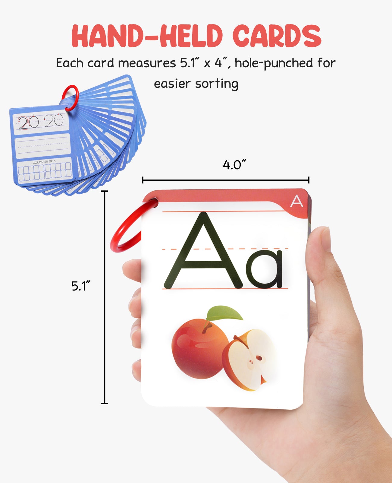 Dry Erase Alphabet and Number Flash Cards - JoyCat