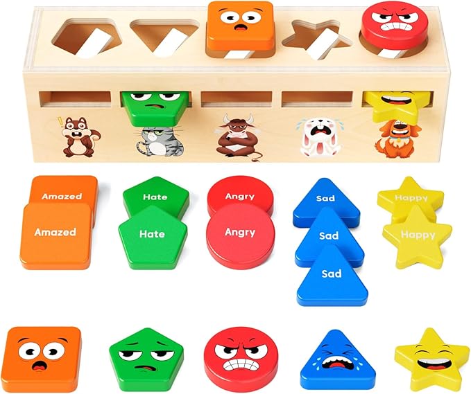 Montessori Wooden Sorting Toys