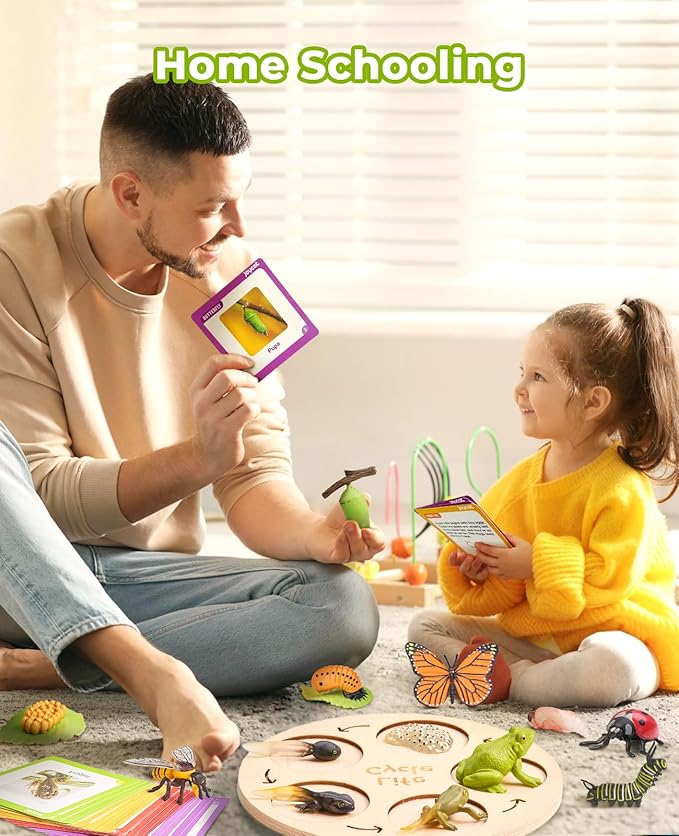 Montessori Life Cycle Learning Education Toy - JoyCat