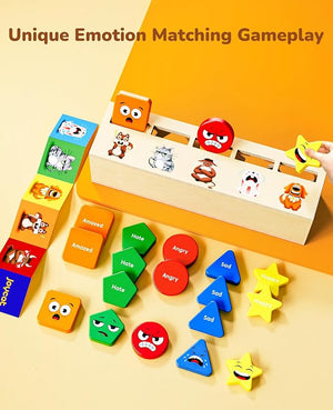 Montessori Wooden Sorting Toys - JoyCat
