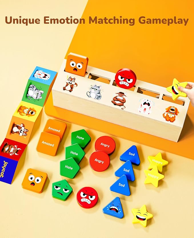 Montessori Wooden Sorting Toys - JoyCat