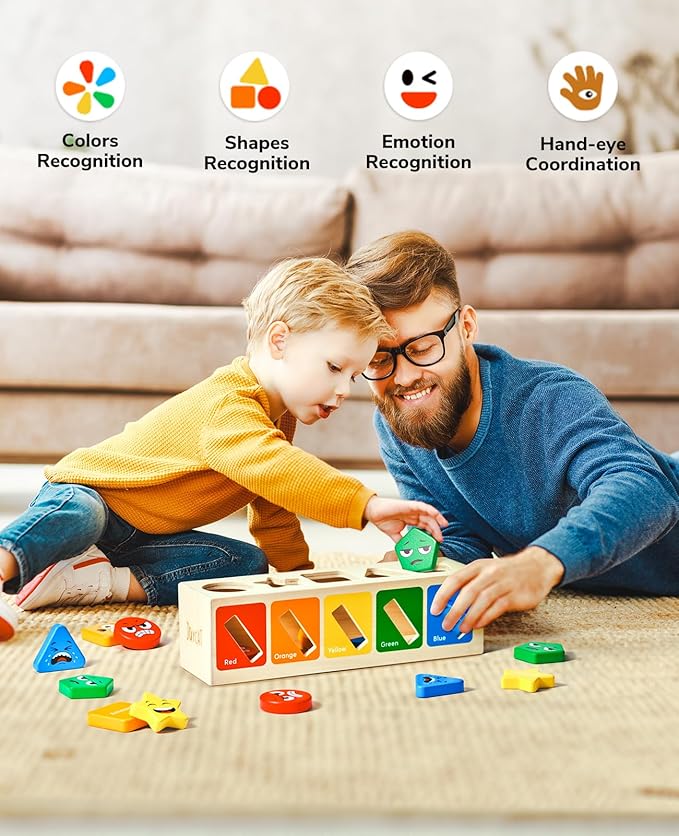 Montessori Wooden Sorting Toys - JoyCat