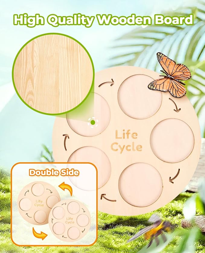 Montessori Life Cycle Learning Education Toy - JoyCat